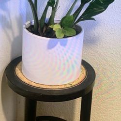 Plant stand or shelf