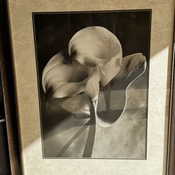 FREE! Large Framed Art