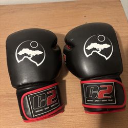 Boxing Gloves, Muay, Thai, MMA, martial Arts, Gym, 