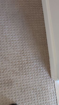 Almost new luxury carpet