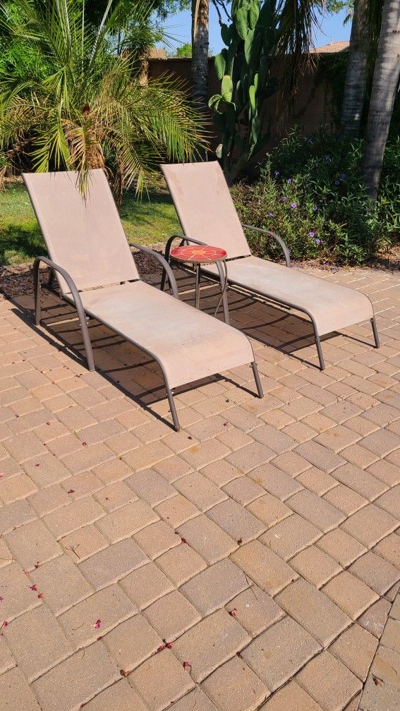 Pool Lounger and Table