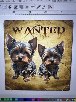 Merle yorkie poster Stickers