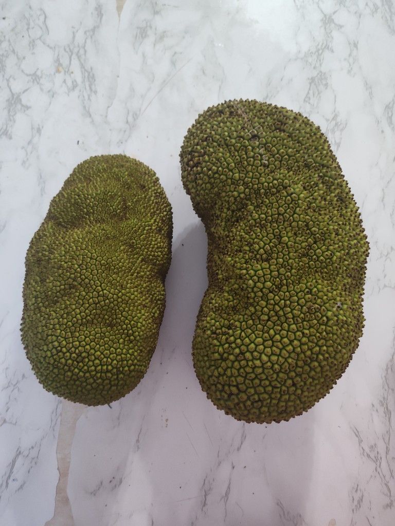 2 Jackfruit