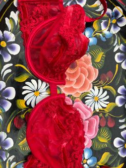 Women’s bra