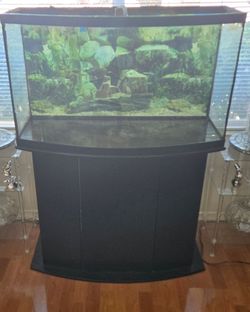 Bow Front Glass Aquarium