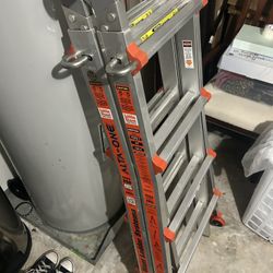 Little Giant Multi-Position Ladder