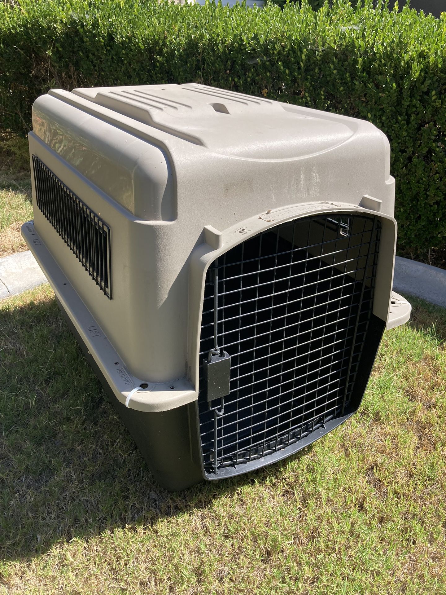 Dog Kennel Medium 
