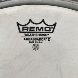 Snare. Pacífica are Pacific. 