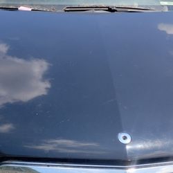 2010-2013 Mercedes Benz E350 E550 Hood Black