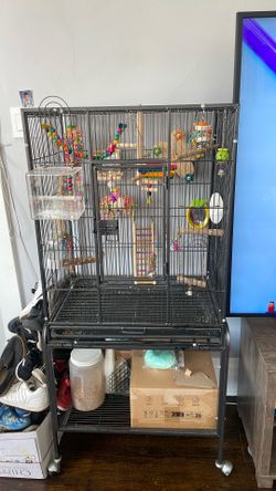Bird Cage