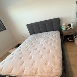Queen Size Serta Bed And Bed Frame