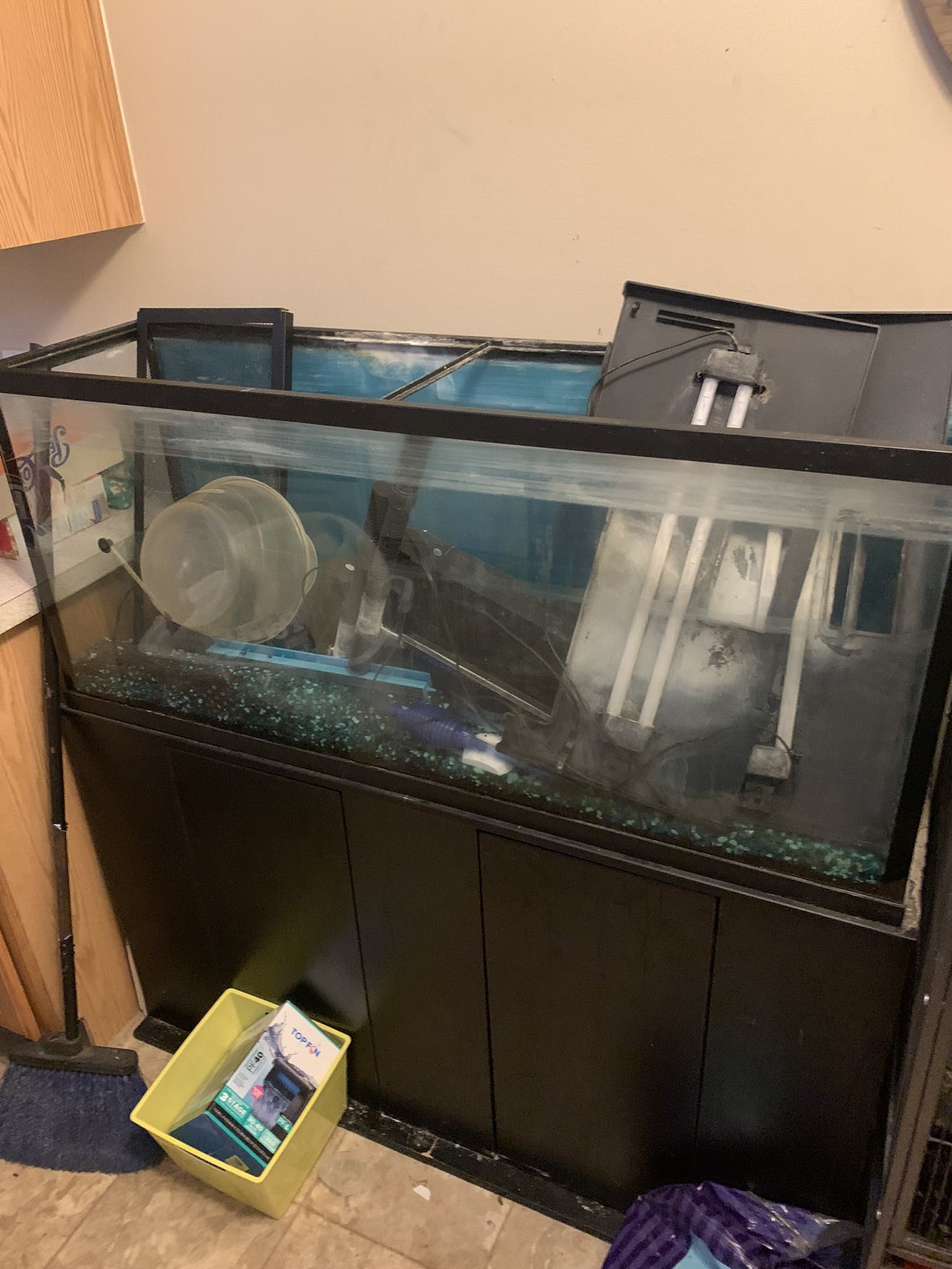 55 Gallon Fish Tank And Stand