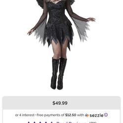 Fallen Angel Women Halloween Costume 