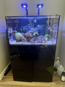 JbJ 65 Reef Tank