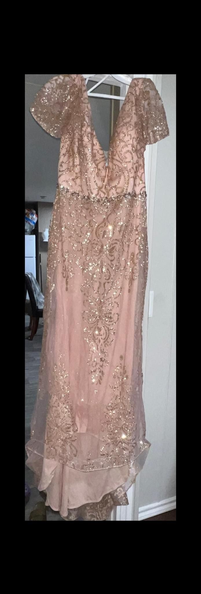 Rose Gold Dress