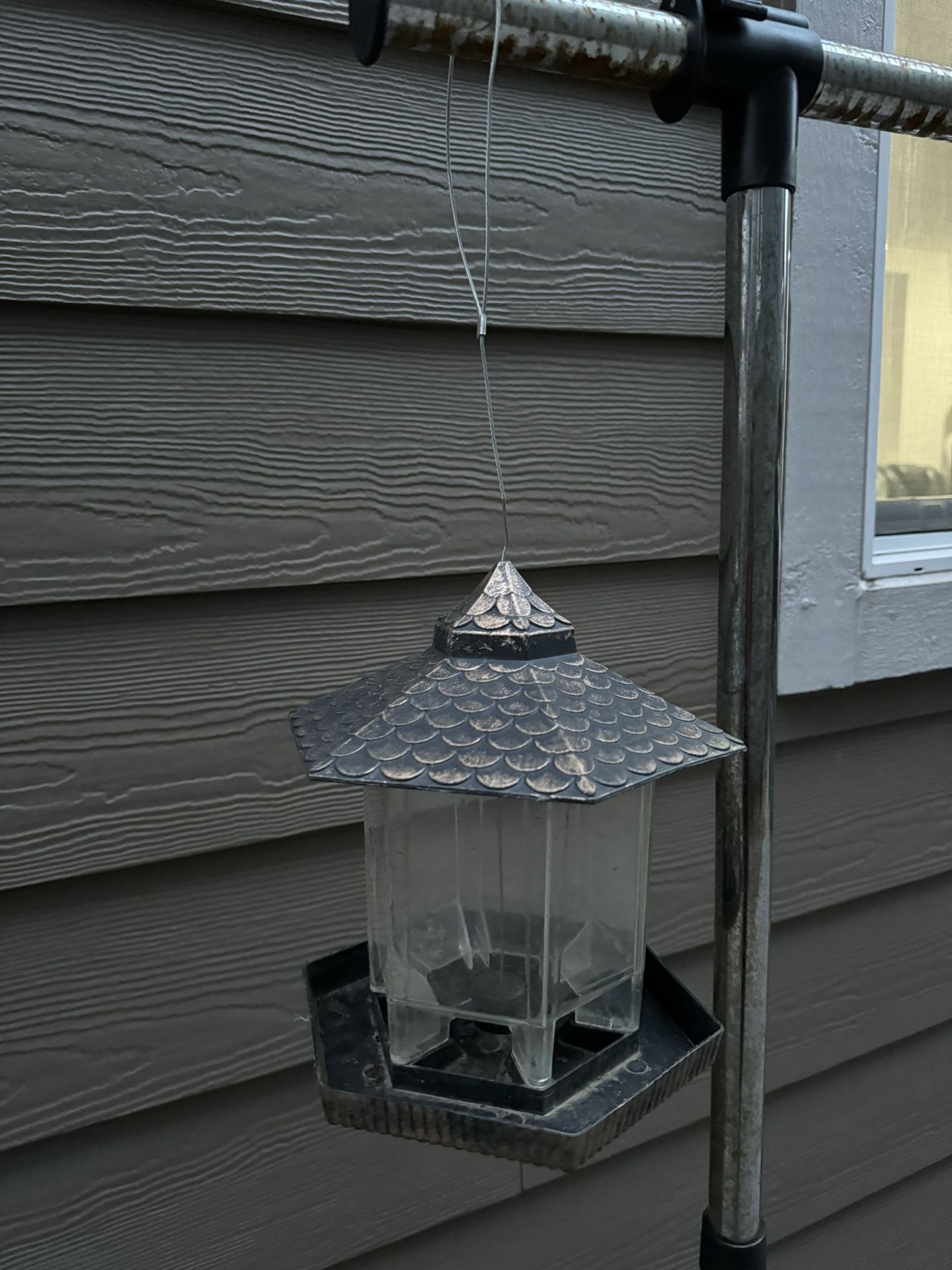 Bird Food Feeder1
