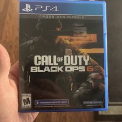Black Ops 6 PS4 