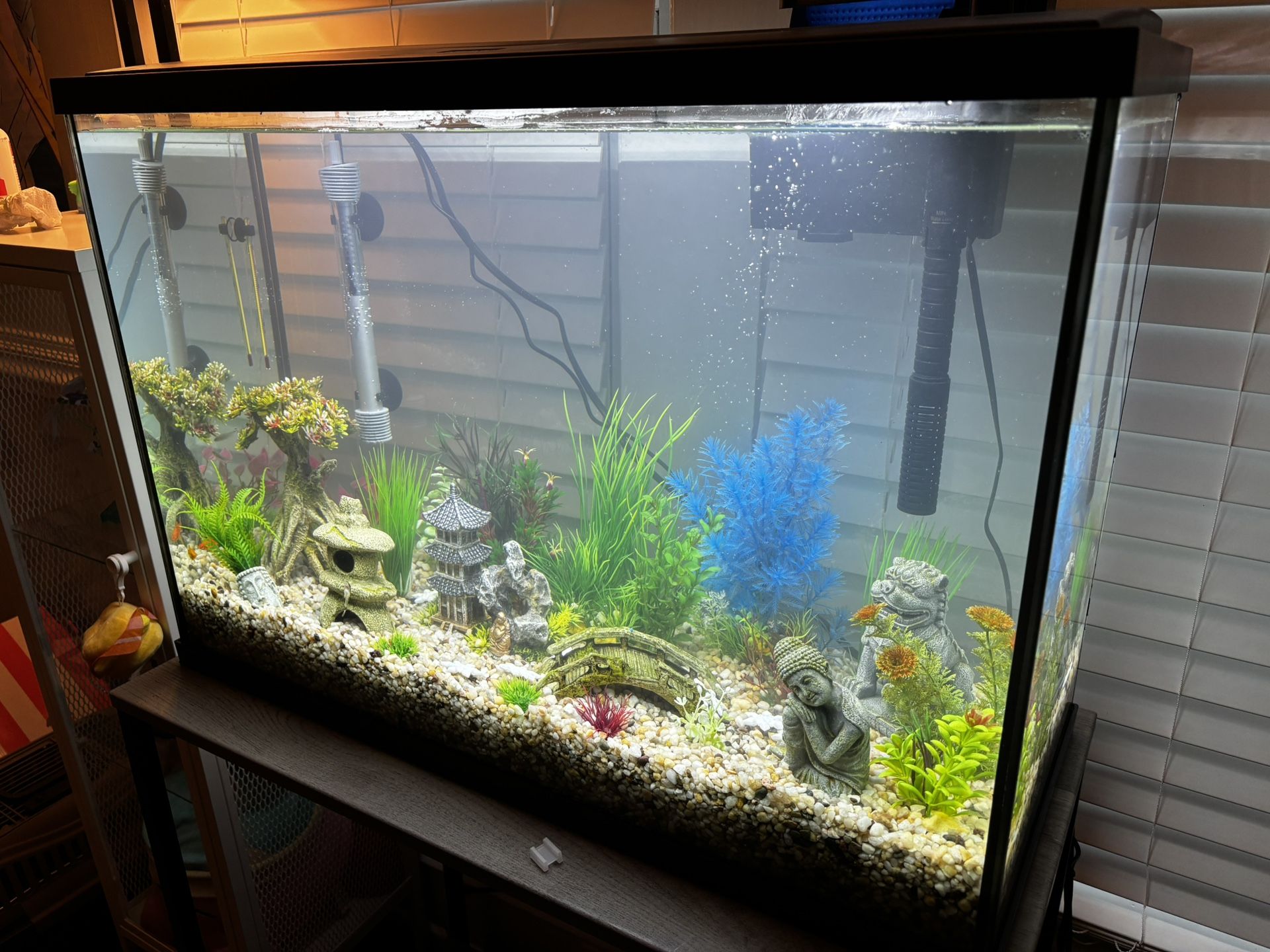 29 Gallon Aquarium