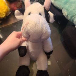 Stuffed Animals