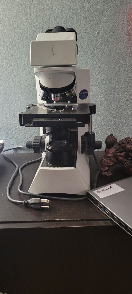 Olympus CX31 Biological Microscope