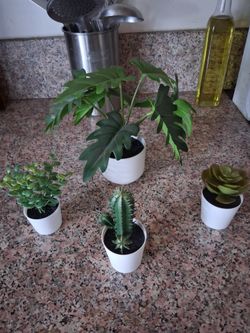 Fake Plants Set