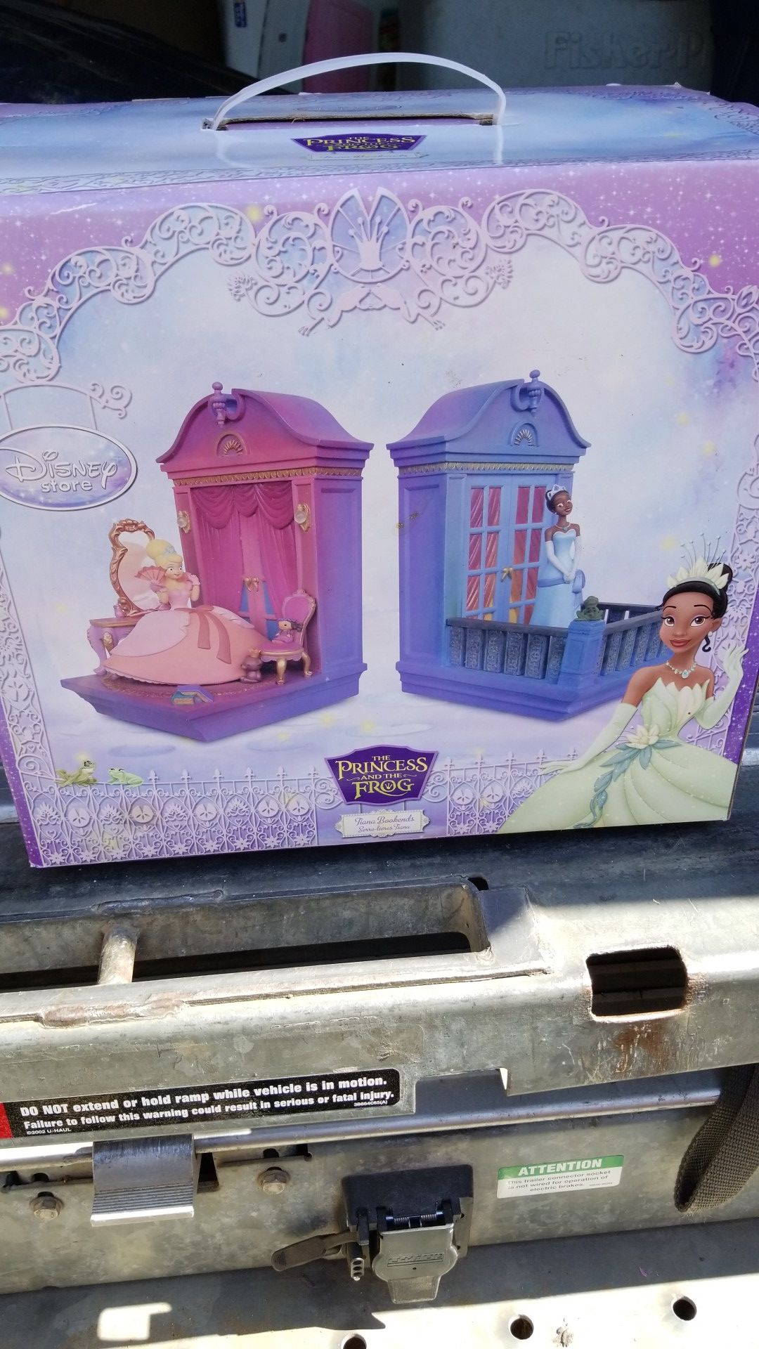 Disney princess and the frog bookends