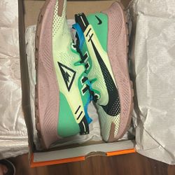 Nike Pegasus Trail 2