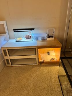 Reptile Enclosure Setup with Tank and Terrariums