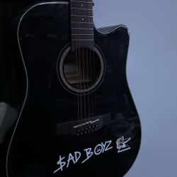 takamine guitar gd30