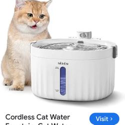 Nodoni New Automatic, Pet Water Fountain W Motion Sensor