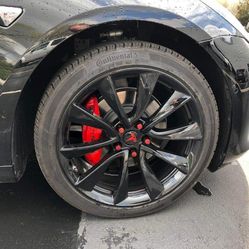 Rim painting Custom work ect. Pintada de rines.