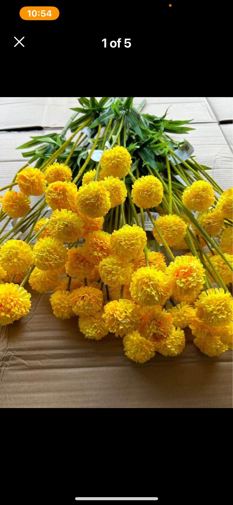 NEW Yellow Orange White Flowers