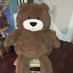 Large Teddy Bear Or Pillow