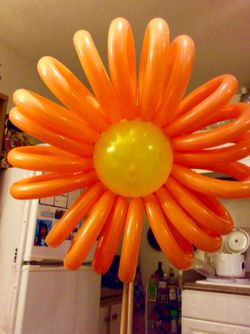Party Balloon Decorations