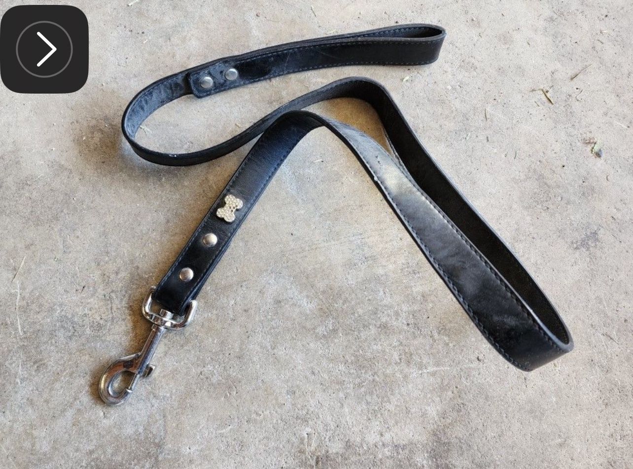 Dog Leash