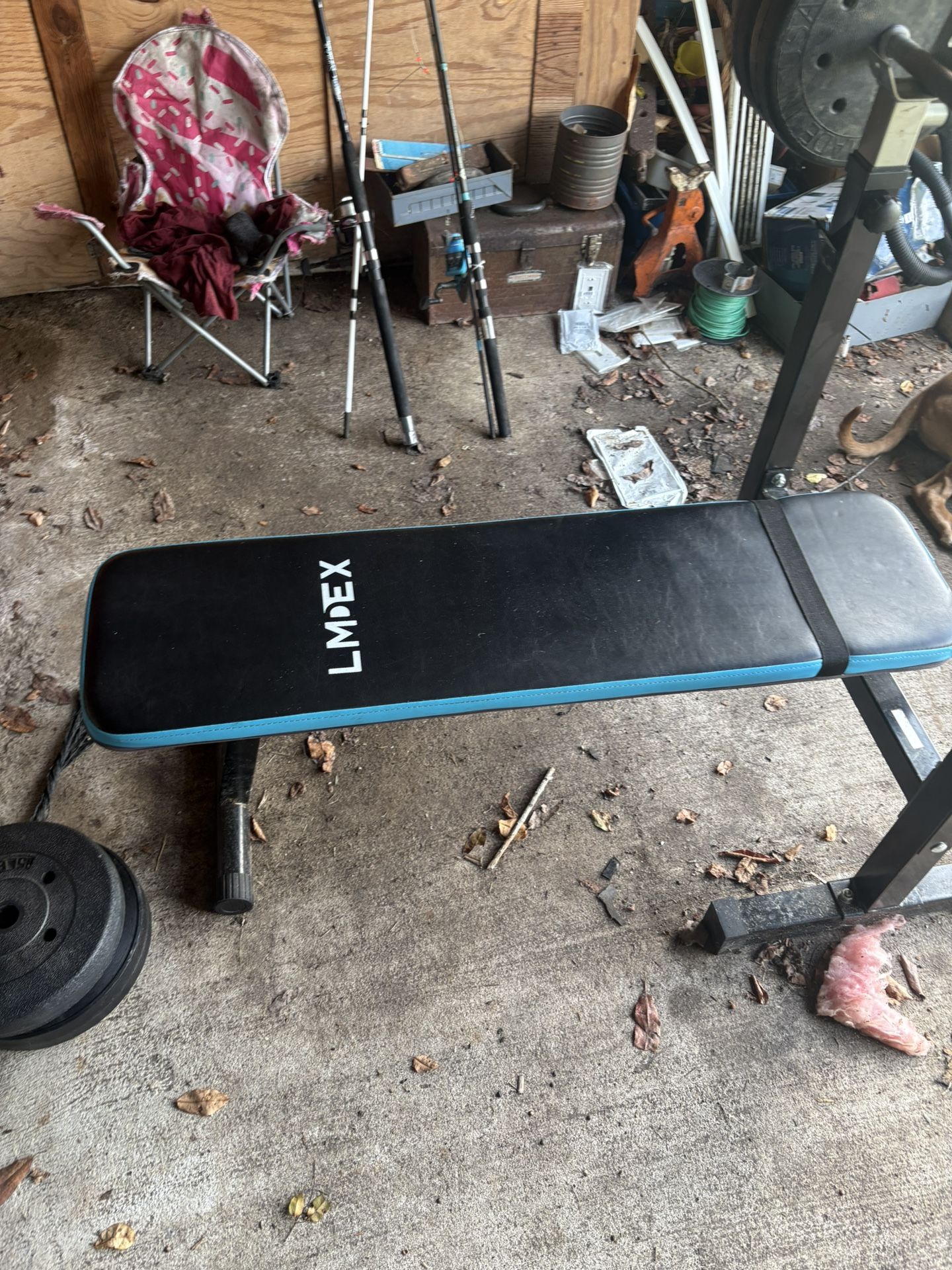 Weights And Bench/dip Station 