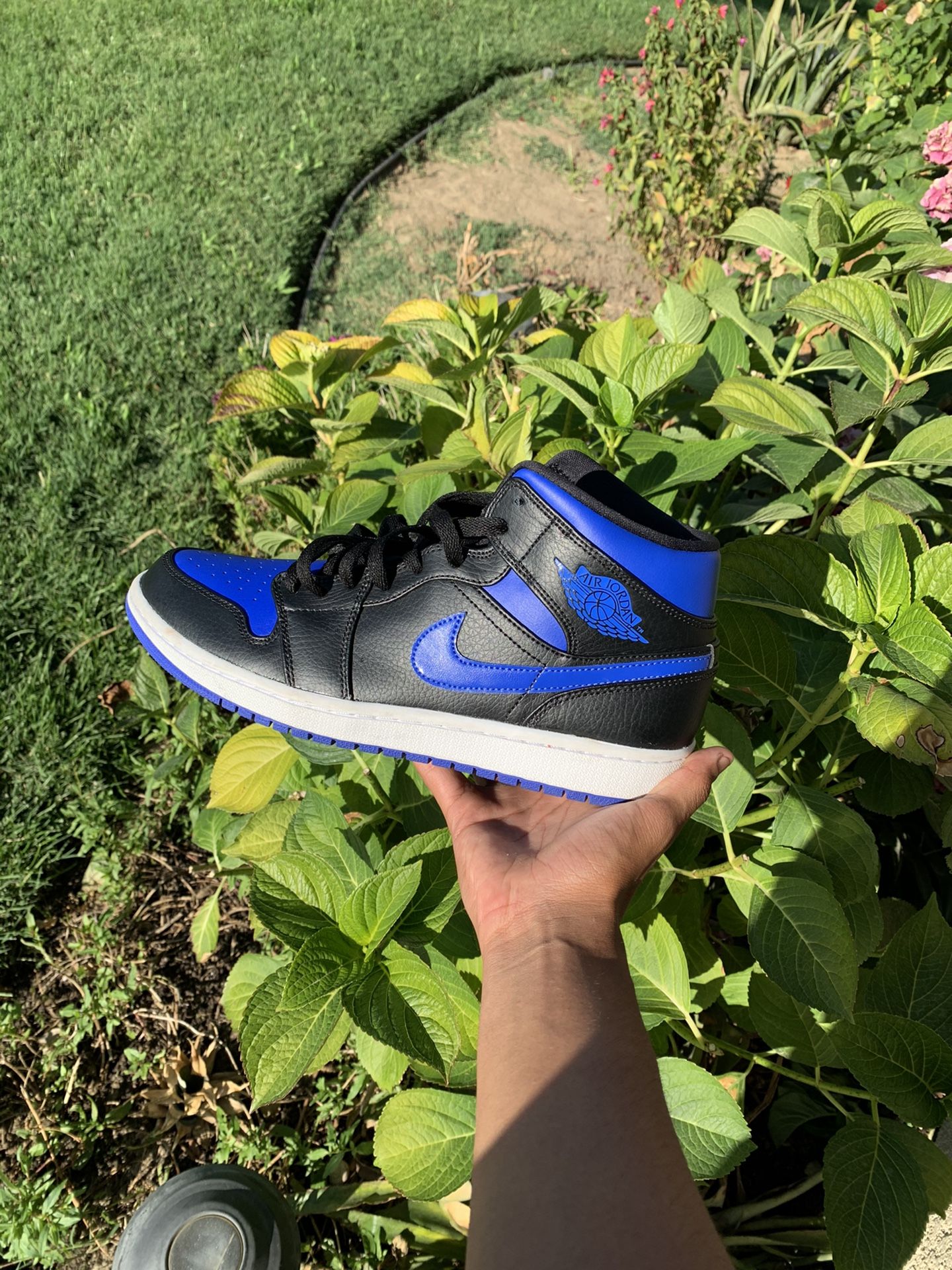 Jordan 1 royal blues