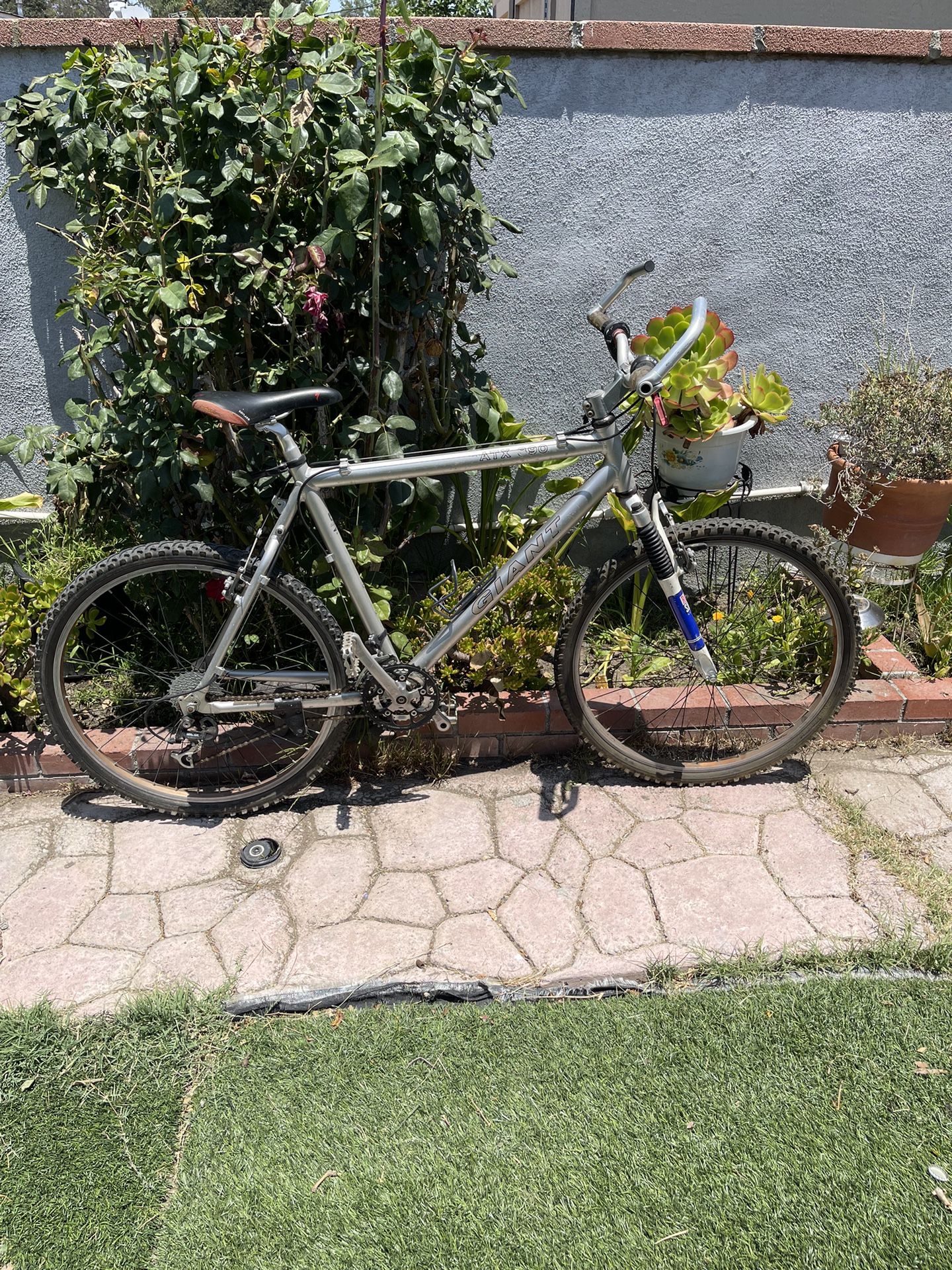 Giant mountain bike 