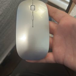 Computer Mouse