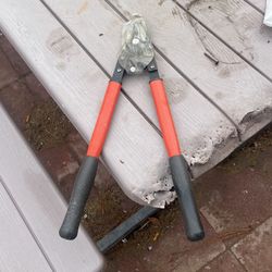 Pruning Scissors