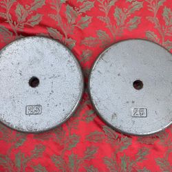 PAIR   OF  25. LB.  STANDARD  (1 INCH/SMALL HOLE)  PLATES