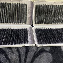 Lashes 