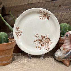 Vintage Boho Ivory Shenango China Cabbage Rose Sepia Floral Plate Decor Cottage Farmhouse Shabby USA