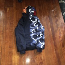 BAPE sta Hoodie