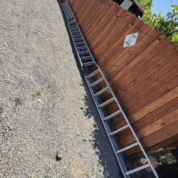 Ladders 