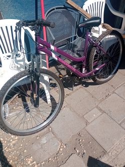 Roadmaster mountain bike 24inch