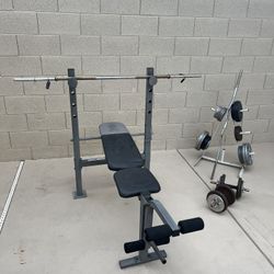 Bench Press And Dumbbells With Curl Bar