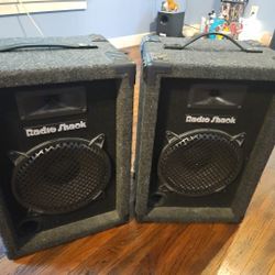 Radio Shack, 10" DJ Speakers
