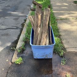 Free Wood In Plastic Container