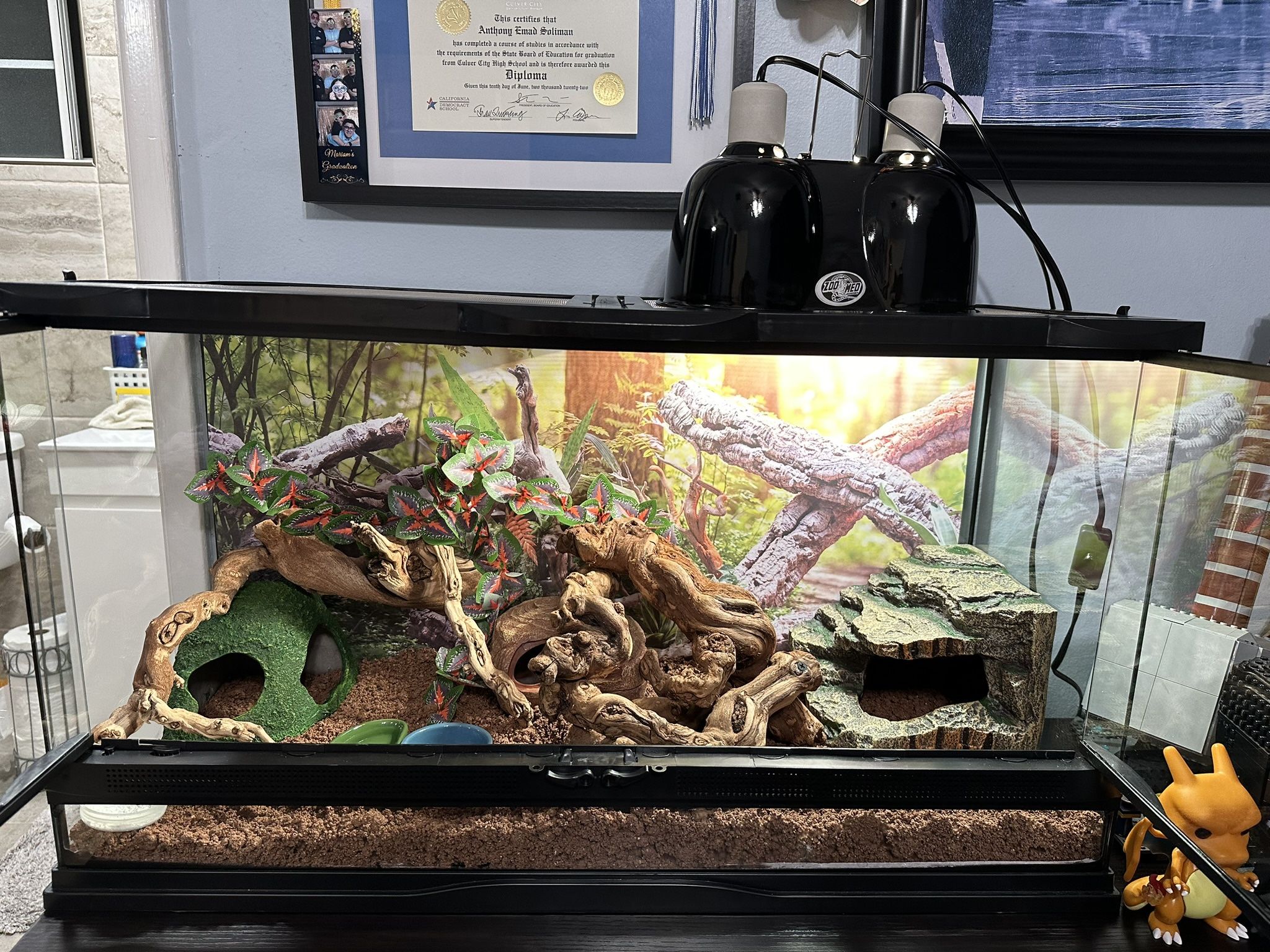 LEOPARD GECKO TANK WITH ALLLLLL SUPPLIES